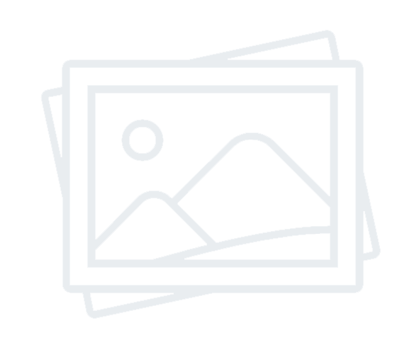 Startup Accelerator Program